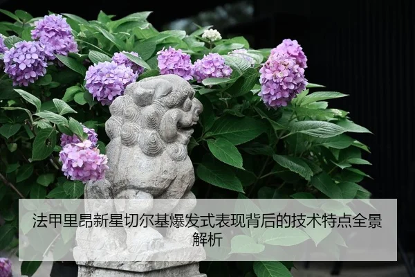 法甲里昂新星切尔基爆发式表现背后的技术特点全景解析