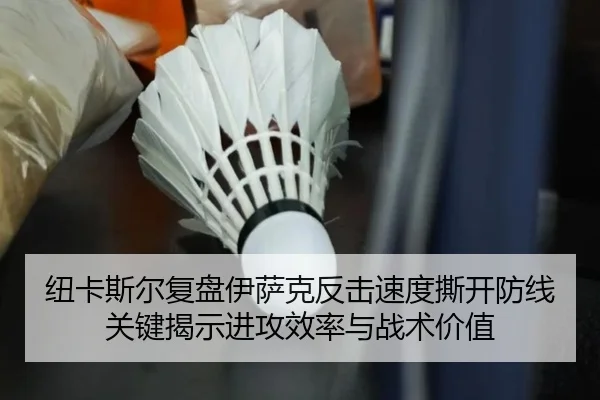 纽卡斯尔复盘伊萨克反击速度撕开防线关键揭示进攻效率与战术价值