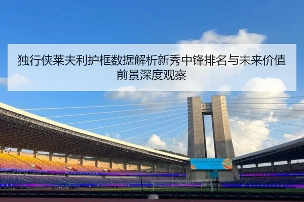 独行侠莱夫利护框数据解析新秀中锋排名与未来价值前景深度观察